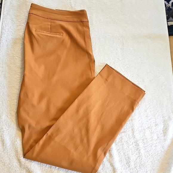 JM Collection Pants - NEW JM Collection Plus Size Pull On Cambridge Pants Canyon Trail 1X